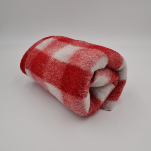 Lo Scottish Quadro Tartan